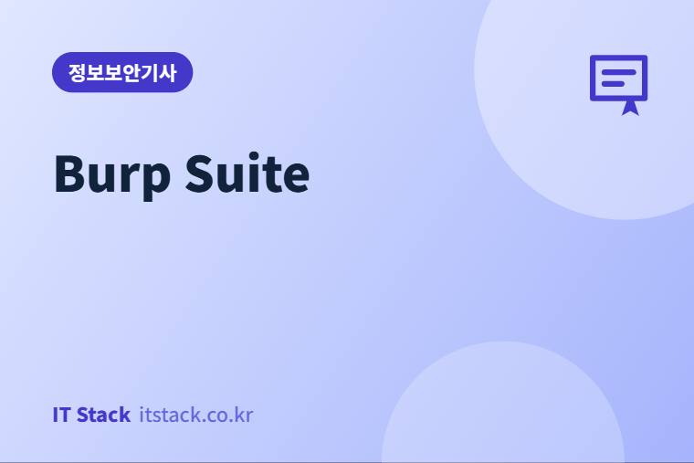 Burp Suite