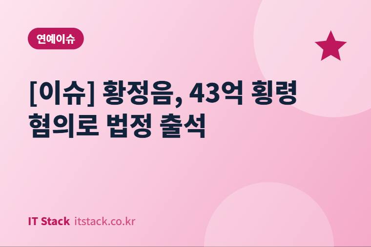 [이슈] 황정음, 43억 횡령 혐의로 법정 출석